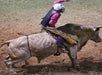 Suhls Rodeo in Kissimmee, Florida