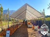 A tent at Prancer's Farm filled with pumpkins and gourds. Corn stalks line the sides. A sign directs visitors to keep right.