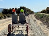 A line of people wearing neon green and orange helmets riding the Sunburst Railbikes on a sunny day with trees and rocks on both sides of them.