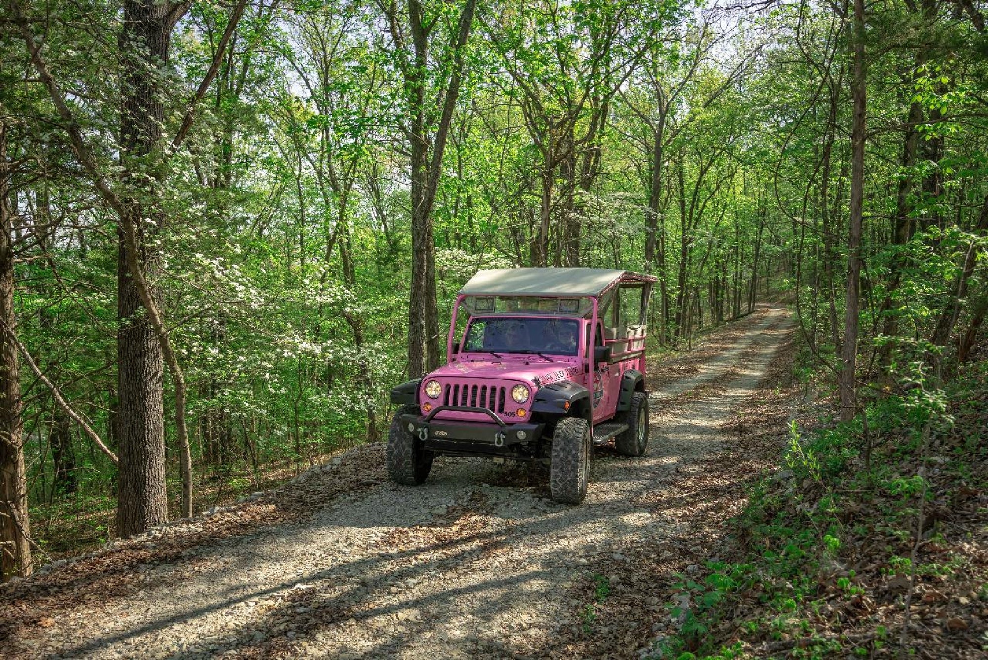 A pink jeep with a canvas top drives on a gravel road through a dense green forest on a sunny day.