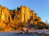 A pink SUV is parked on rocky ground in front of sunlit, towering sandstone cliffs with scattered trees and shrubs.