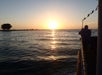 Sunset aboard the Clearwater Sunset Celebration Cruise.