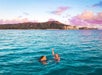 Two people swimming in the ocean water with the Waikiki shore in the distance in Waikiki, Hawaii.