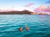 Two people swimming in a clear blue ocean with a mountainous coastline and city skyline in the background under a pink-clouded sky.