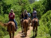 Guests riding horses on a sunny day at Gunstock Ranch Horseback Rides in Oahu - Kahuku, HI