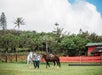 Two people walking and leading horses on a cloudy day Gunstock Ranch Horseback Rides in Oahu - Kahuku, HI