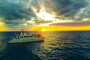 Sunset Dolphin Watch, Snorkeling Cruise and Hawaiian Buffet in Kapolei, Hawaii