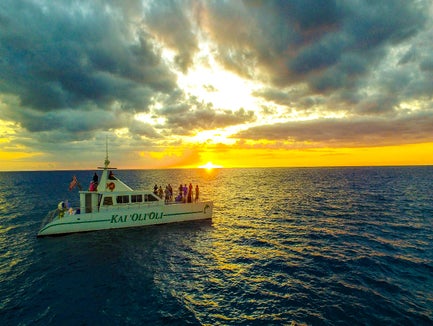Luxury Sunset Dolphin Watch & Snorkeling Cruise with Dinner in Kapolei, Hawaii