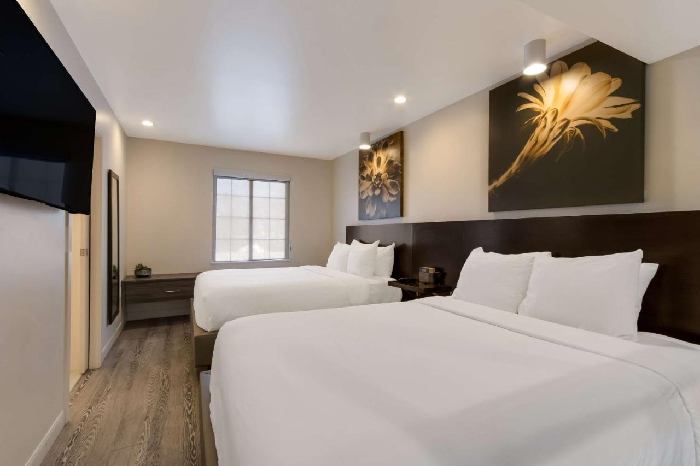 Hotel room with two double beds, white linens, a wall-mounted TV, two floral pictures above the headboard, and a window.