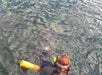 Snorkeling on the river