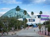 The exterior of The Florida Aquarium in Tampa, Florida, featuring a glass dome, palm trees, and people walking nearby.