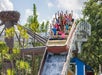A coaster car full of people with their arms up going down hill on the Roaring Springs water ride on a sunny day at ZooTampa.