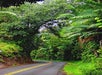 Road to Hana Waterfall Pool