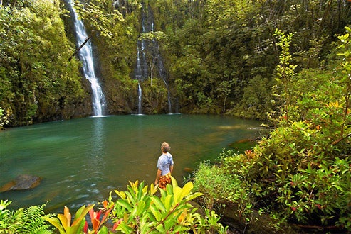Road to Hana - Natural Tropical Beauty