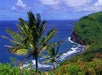 Road to Hana Maui