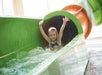 Kids' Pool - The Crown Reef Resort in Myrtle Beach, South Carolina