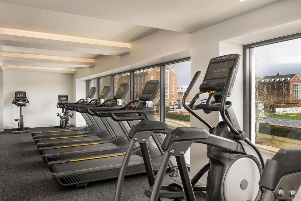 A row of treadmills and elliptical machines in a well-lit gym with large windows overlooking a building and a tennis court outside.