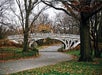 The Essential Central Park Guided Walking Tour with Babylon Tours in New York, NY