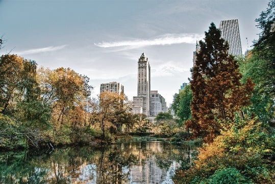 The Essential Central Park Guided Walking Tour with Babylon Tours in New York, NY