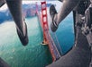 View iconic San Francisco landmarks when riding The Flyer.