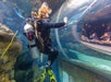 The Florida Aquarium in Tampa, Florida
