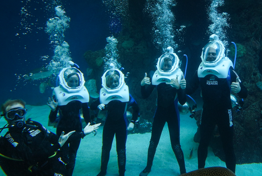 SeaTREK at The Florida Aquarium.