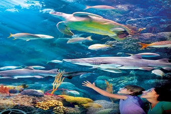 - The Florida Aquarium in Tampa, Florida
