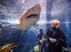 The Florida Aquarium in Tampa, Florida