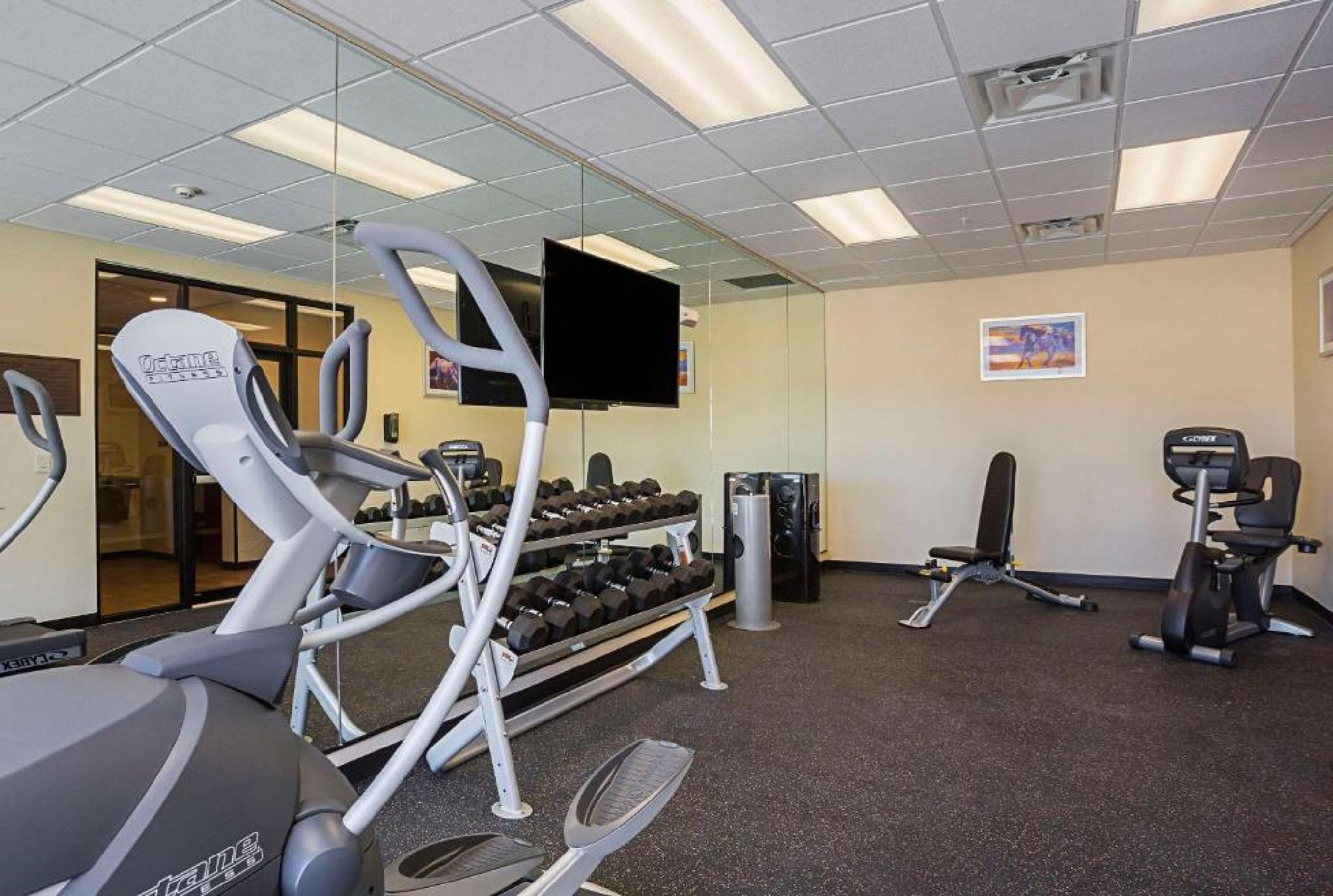 A fitness room with cardio machines, a rack of dumbbells, a bench, exercise bike, large wall mirror, and a wall-mounted TV.