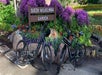 Two bicycles parked in front of a sign reading "Queen Wilhelmina Garden," with vibrant purple and red flowers and rocks in the background.