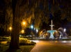 Forsyth Fountain at night with eerie tree shadows and glowing lights.