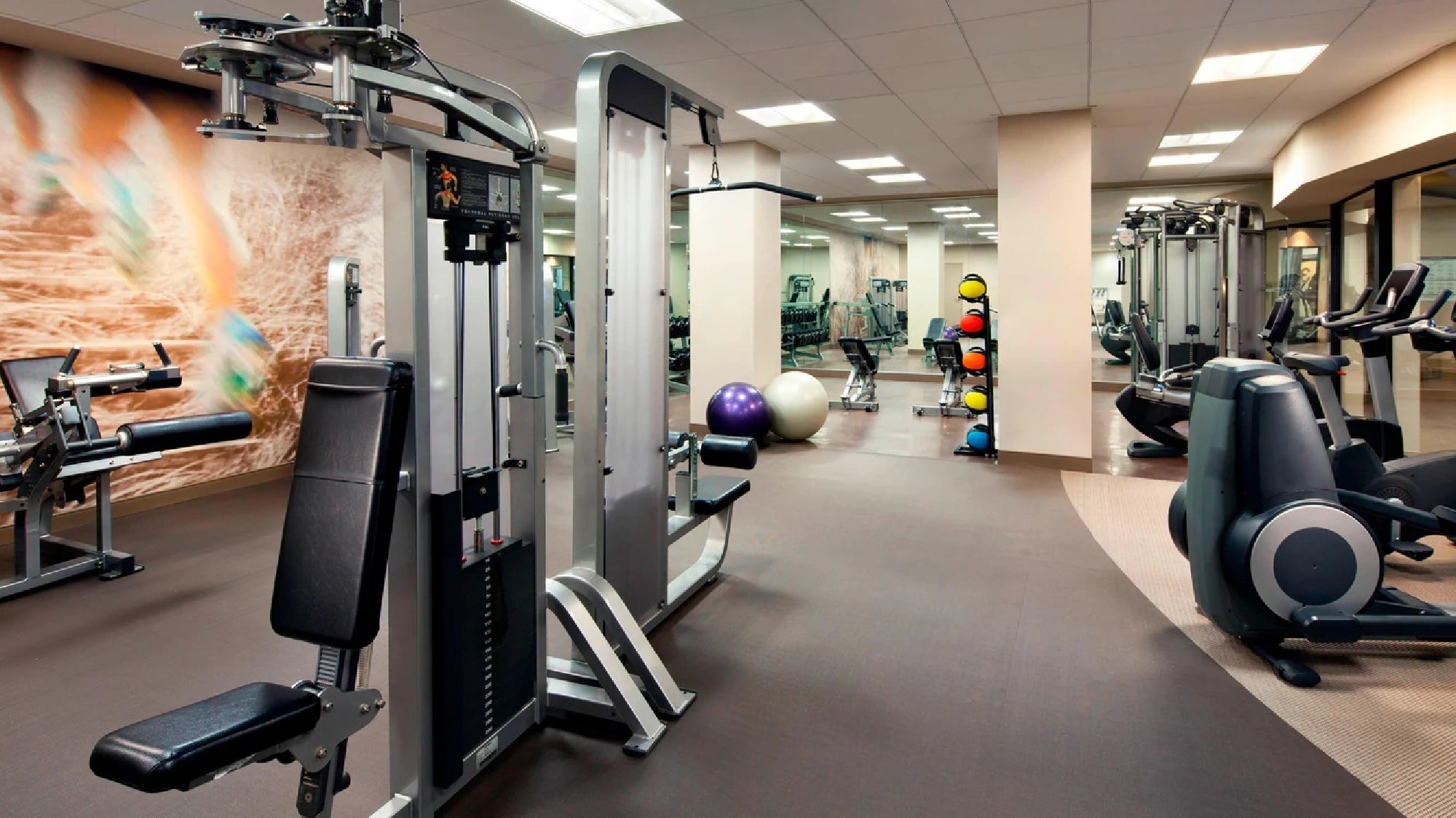A modern gym with various exercise machines, free weights, a colorful kettlebell rack, and an exercise ball.