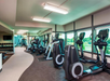 A modern gym with treadmills, ellipticals, and stationary bikes lined up along large windows. Dumbbells are visible on racks in the background.
