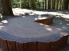A diagram of the Giant Sequoia on display in the national park on the Total Yosemite Experience in San Francisco, California.