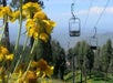 Scenic mountain chairlift rides at Mt. Lemmon Ski Valley.