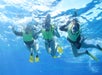 Underwater photos of our guests snorkeling.