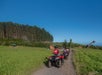 Umauma Falls & ZipLine Experience