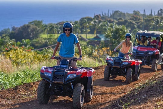 Umauma Falls & ZipLine Experience