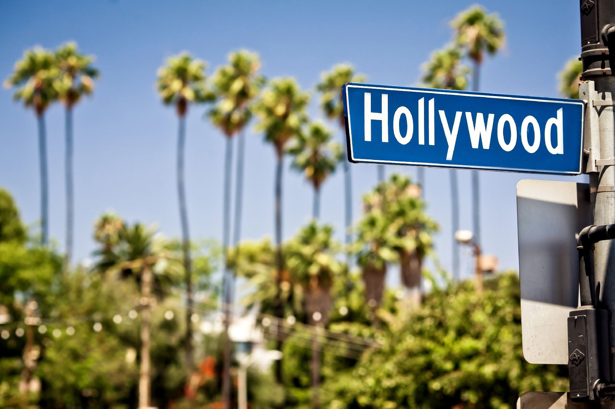 The Hollywood sign