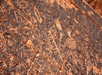 Close-up of ancient petroglyphs etched into reddish rock, featuring various symbols, spirals, and handprints.