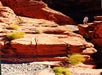 Valley of Fire - Lost City Museum in Las Vegas, Nevada