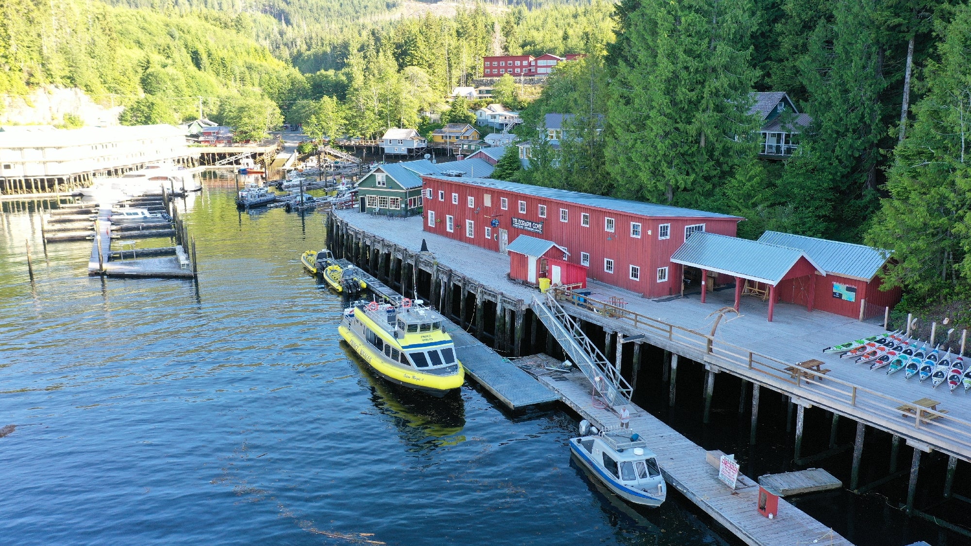 Aerial view of a waterfront dock with red buildings, moored yellow and gray boats, and forested hills in the background.