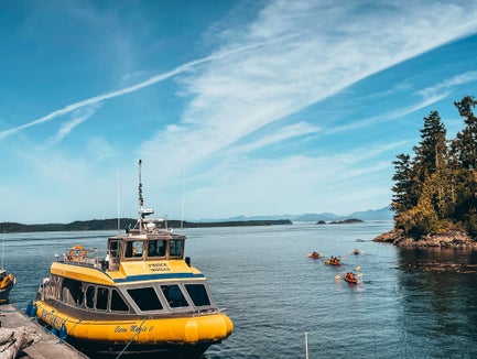 Vancouver Island Whale Watching Tour - Telegraph Cove in Telegraph Cove, British Columbia