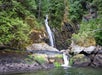 A small waterfall flows down a mossy, rocky cliff surrounded by dense green forest, with water pooling at the base.