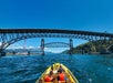 A group of people in a yellow boat travel under two large metal bridges on a sunny day, with blue water and a forested shoreline visible.