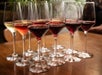 Several wine glasses with different wines