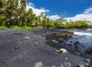 Hawaiian green turtles relaxing at Punaluu Black Sand Beach on the Big Island of Hawaii