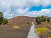 Devastation Trail leading into an old lava flow in Hawaii Volcanoes National Park on the Big Island.