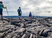 A group of tour participants hiking along a lava flow field.