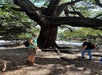 Two people stand under a large, sprawling tree with thick branches in a shaded outdoor area. One holds a hat and backpack, the other faces away, both on dirt and leaf-covered ground.